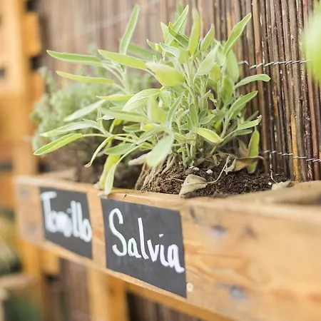 מלון Ibis Barcelona