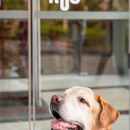 Ibis Barcelona Hotel