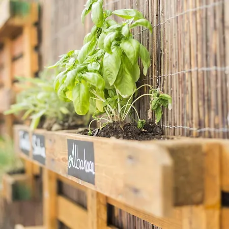 Ibis Barcelona Hotel